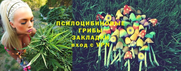 соль ск Алексеевка