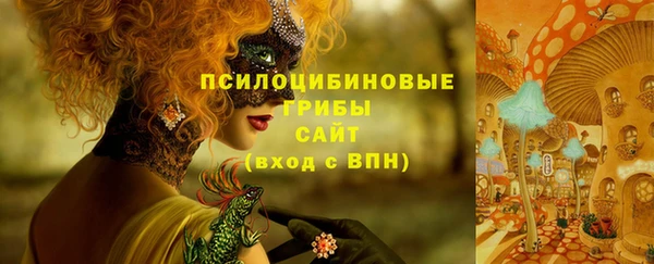 соль ск Алексеевка